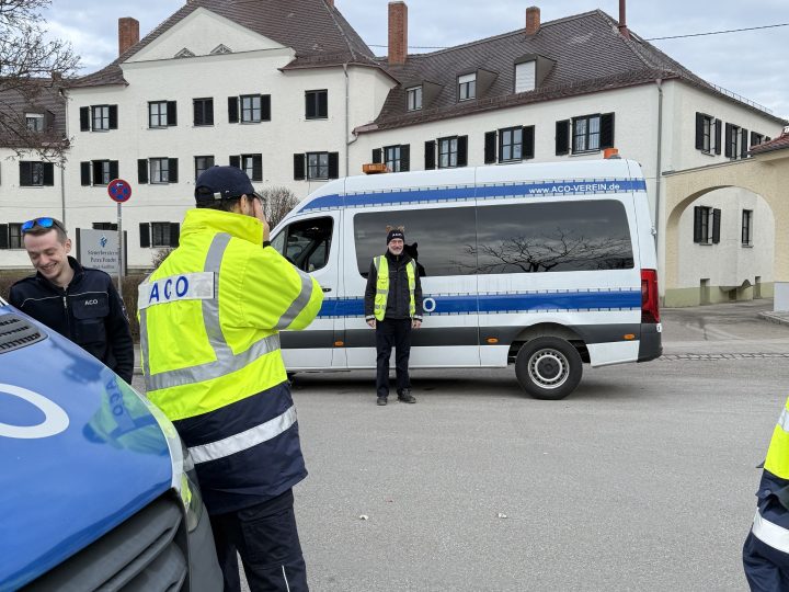 Faschingsumzug in der Firnhaberau