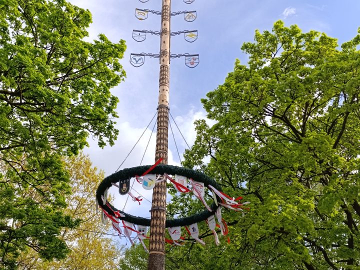 Maibaumfeier